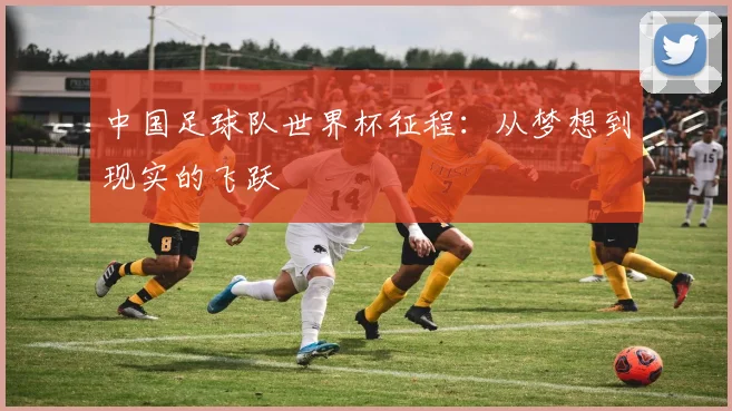 中国足球队世界杯征程：从梦想到现实的飞跃